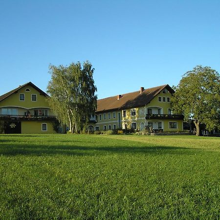 Windhoer Saxen Экстерьер фото